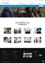 Mega Business - Business Website Script Screenshot 8