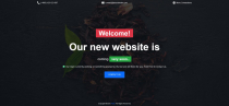 BUCT - Coming Soon Bootstrap HTML Website Template Screenshot 2
