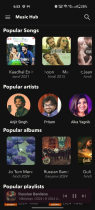 Music Hub - Android App Source Code Screenshot 11